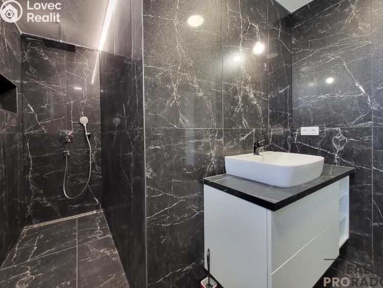 Продажа семейного дома Dobšice č. 11