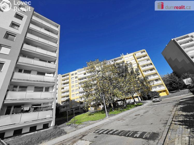 Pronájem bytu 3+1 Brandýs nad Labem-Stará Boleslav, Na vinici č. 24