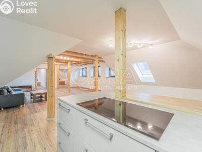 Pronájem bytu 4+KK Srbsko, Nad Kapličkou 204 č. 2