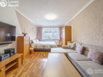 Prodej bytu 2+1 Sokolov, Spartakiádní č. 4