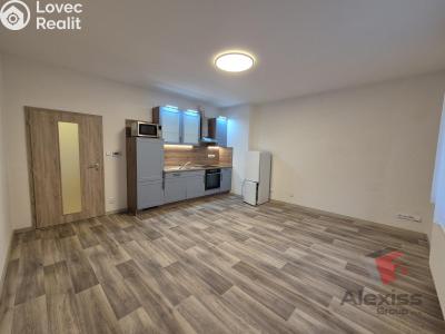 Pronájem bytu 3+KK Praha, Vrázova č. 5