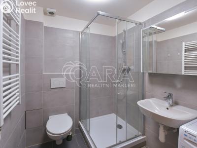 Pronájem bytu 1+1 Praha, Chrastavská č. 3