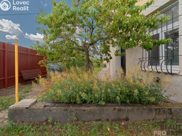 Prodej bytu 2+1 Znojmo, Vídeňská třída č. 12