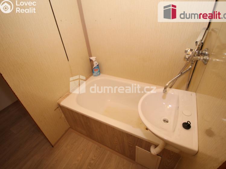 Pronájem bytu 1+1 Nové Sedlo, Revoluční č. 6