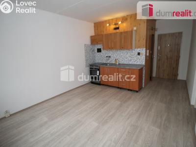 Pronájem bytu 1+1 Nové Sedlo, Revoluční č. 1