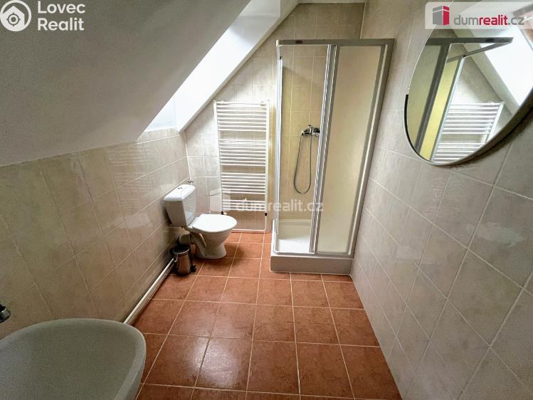 Pronájem ubytovacího zařízení Uherské Hradiště, Jižní č. 6