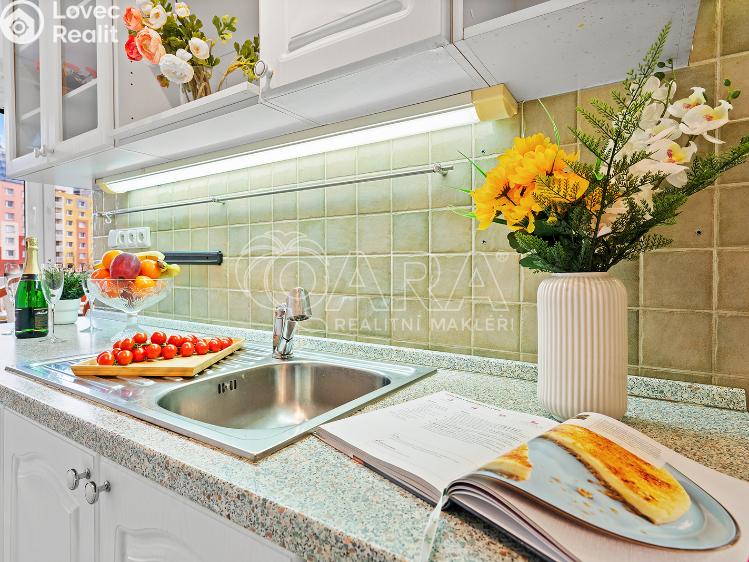 Rent apartment 2+1 Ústí nad Labem, Kmochova 3174/40 č. 15