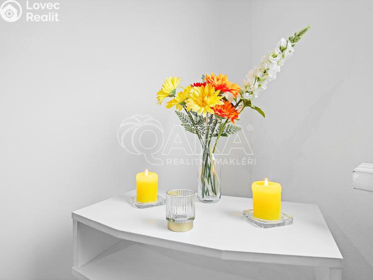 Rent apartment 2+1 Ústí nad Labem, Kmochova 3174/40 č. 5