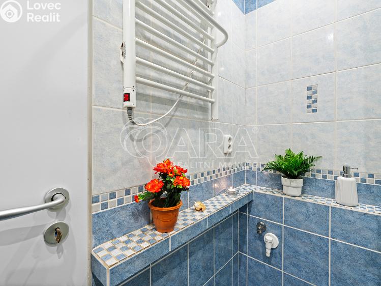 Rent apartment 2+1 Ústí nad Labem, Kmochova 3174/40 č. 17