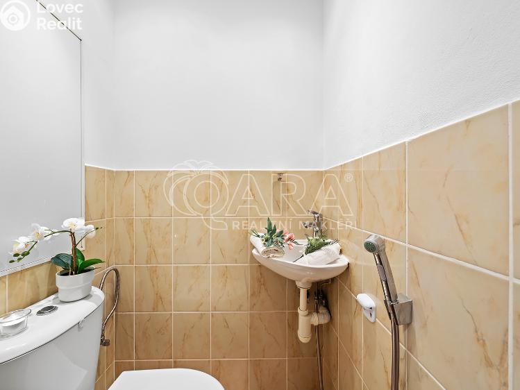 Rent apartment 2+1 Ústí nad Labem, Kmochova 3174/40 č. 19