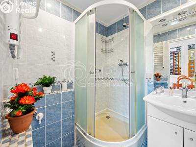 Pronájem bytu 2+1 Ústí nad Labem, Kmochova č. 3