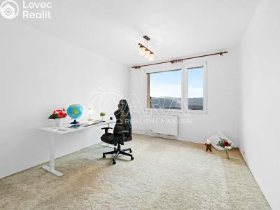 Pronájem bytu 2+1 Ústí nad Labem, Kmochova č. 2