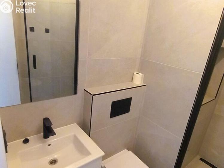 Pronájem bytu 1+1 Jihlava, Telečská č. 7