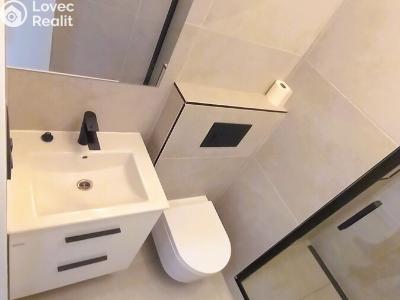 Pronájem bytu 1+1 Jihlava, Telečská č. 6