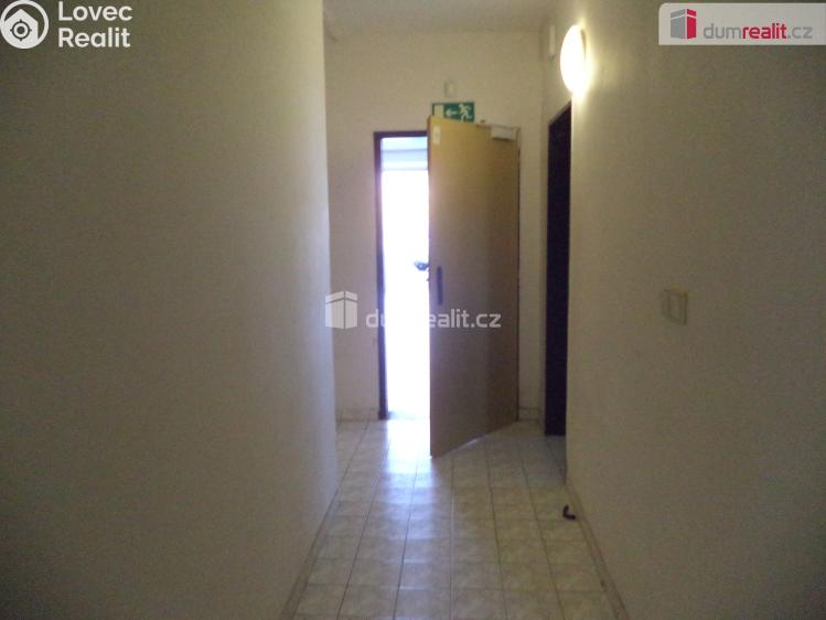 Pronájem komerční nemovitosti Havířov, Mánesova č. 13