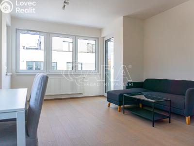 Pronájem bytu 2+KK Praha, Rixdorfská č. 5