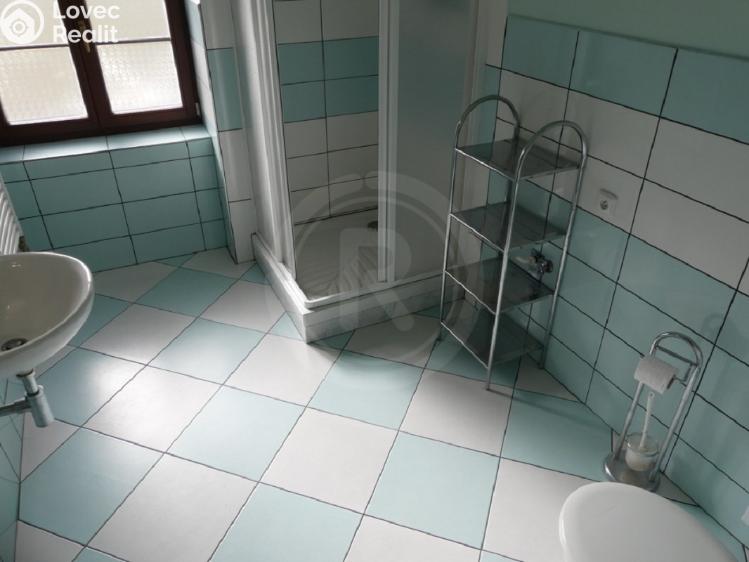 Продаж багатоквартирного будинку Netolice, Staré Město 133 č. 10