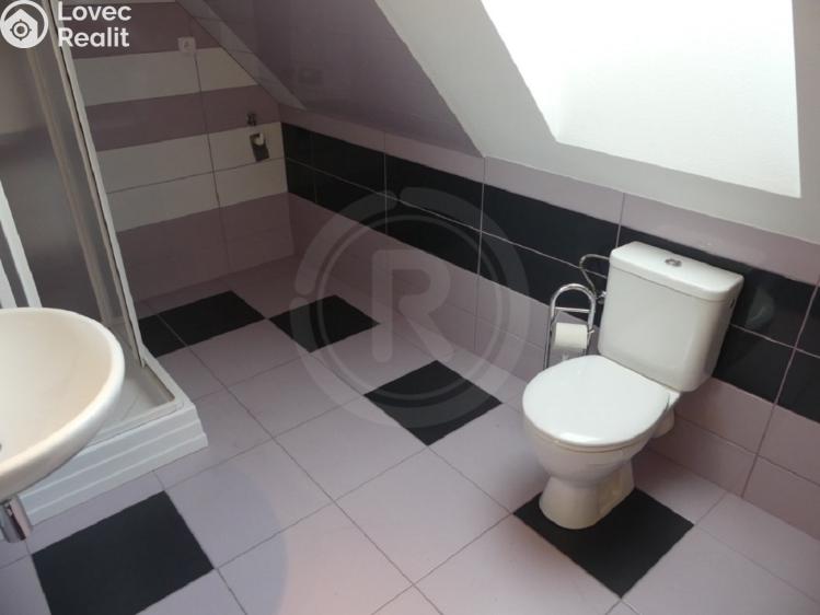 Продаж багатоквартирного будинку Netolice, Staré Město 133 č. 29