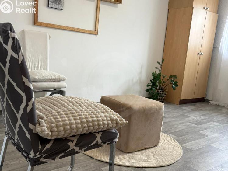 Продажа семейного дома České Budějovice, K. Fleischmanna 579/6 č. 11