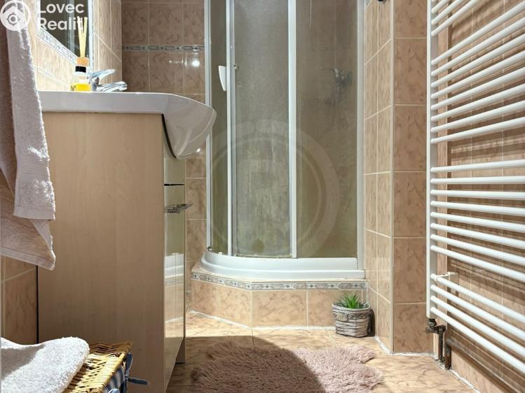 Продажа семейного дома České Budějovice, K. Fleischmanna 579/6 č. 20