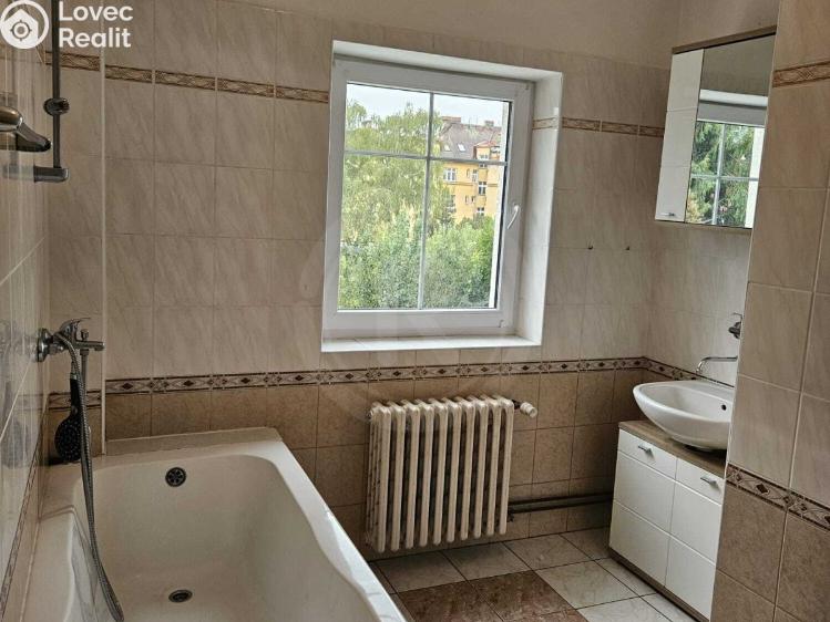 Продаж багатоквартирного будинку České Budějovice, Družstevní 156/26 č. 13