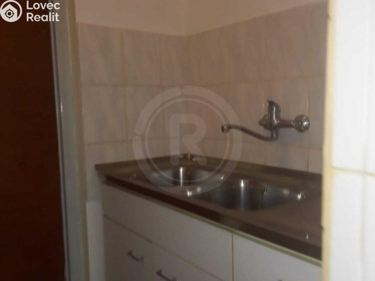 Rent restaurant České Budějovice, Družstevní č. 11