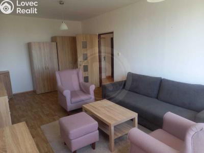 Pronájem bytu 1+1 České Budějovice, Staroměstská č. 1