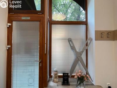 Rent commercial space Ostrava, Macharova č. 5