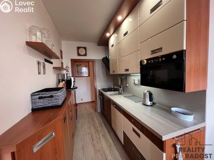 Pronájem bytu 2+1 Hodonín, Brandlova č. 3