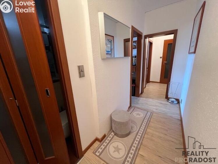 Pronájem bytu 2+1 Hodonín, Brandlova č. 12