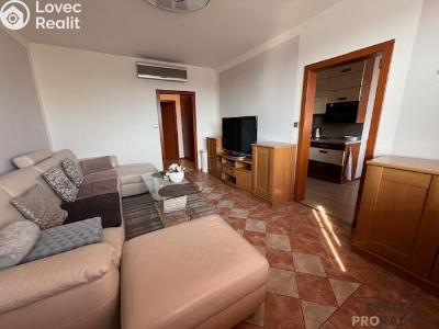 Pronájem bytu 2+1 Hodonín, Brandlova č. 1