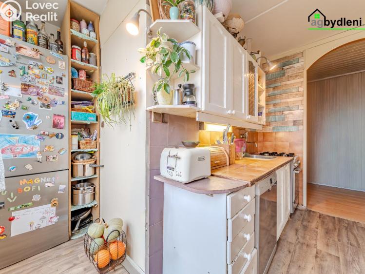Prodej bytu 3+1 Plzeň č. 2