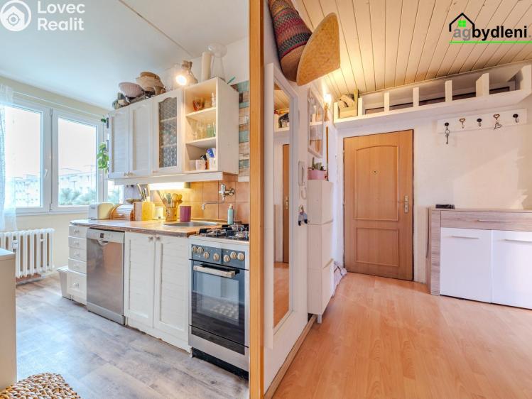 Prodej bytu 3+1 Plzeň č. 3