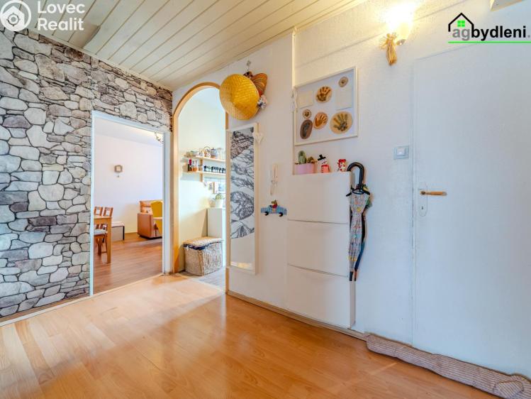 Prodej bytu 3+1 Plzeň č. 12