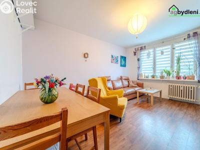 Prodej bytu 3+1 Plzeň č. 4