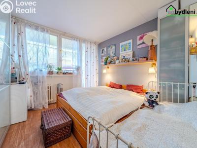 Prodej bytu 3+1 Plzeň č. 4