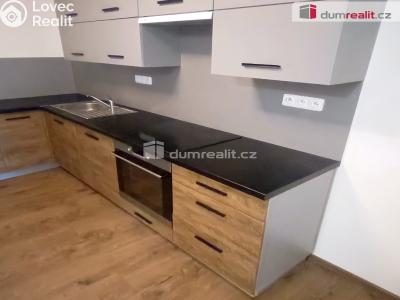 Pronájem bytu 2+KK Ústí nad Labem, Elišky Krásnohorské č. 2