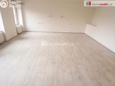 Pronájem bytu 2+KK Ústí nad Labem, Elišky Krásnohorské č. 6