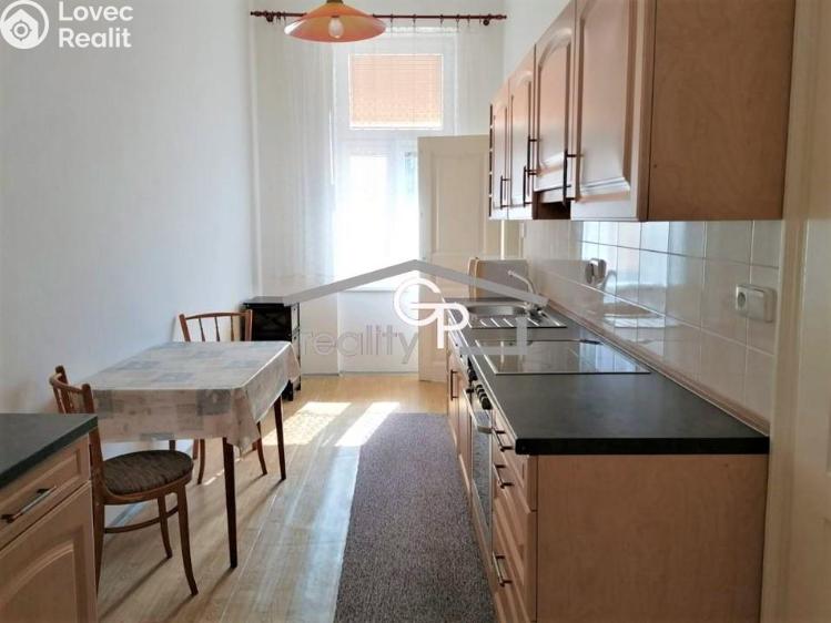 Pronájem bytu 1+1 České Budějovice, Puklicova č. 1