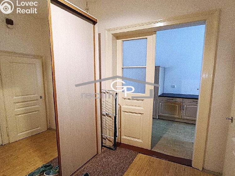 Pronájem bytu 1+1 České Budějovice, Puklicova č. 8