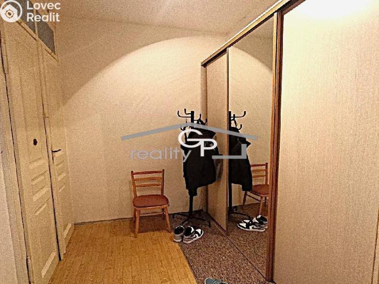 Pronájem bytu 1+1 České Budějovice, Puklicova č. 9