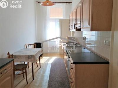 Pronájem bytu 1+1 České Budějovice, Puklicova č. 1