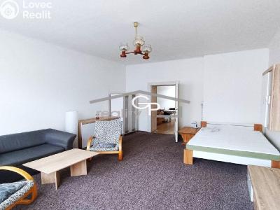 Pronájem bytu 1+1 České Budějovice, Puklicova č. 4