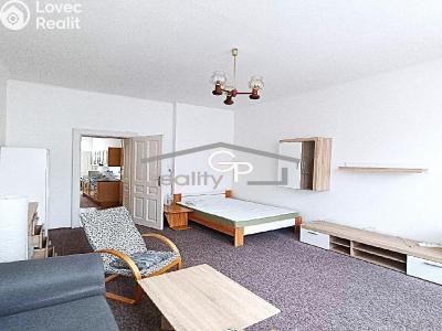 Pronájem bytu 1+1 České Budějovice, Puklicova č. 5