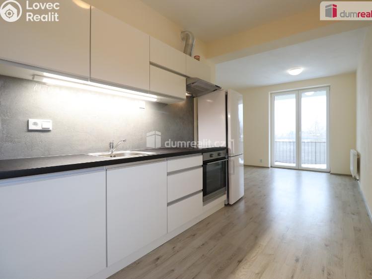 Pronájem bytu 2+KK Nová Role, Svobodova č. 2