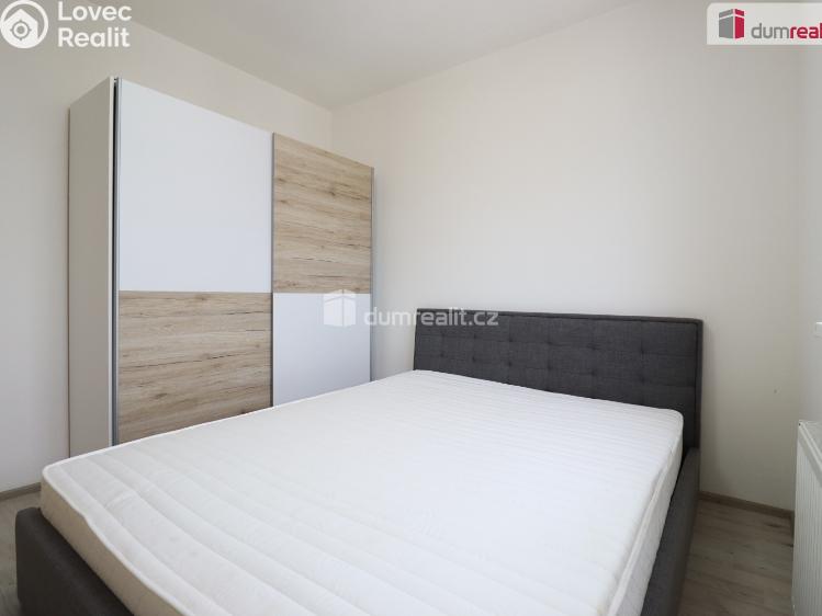 Pronájem bytu 2+KK Nová Role, Svobodova č. 5