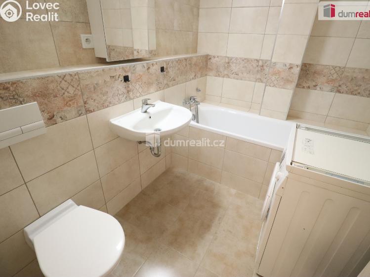 Pronájem bytu 2+KK Nová Role, Svobodova č. 6