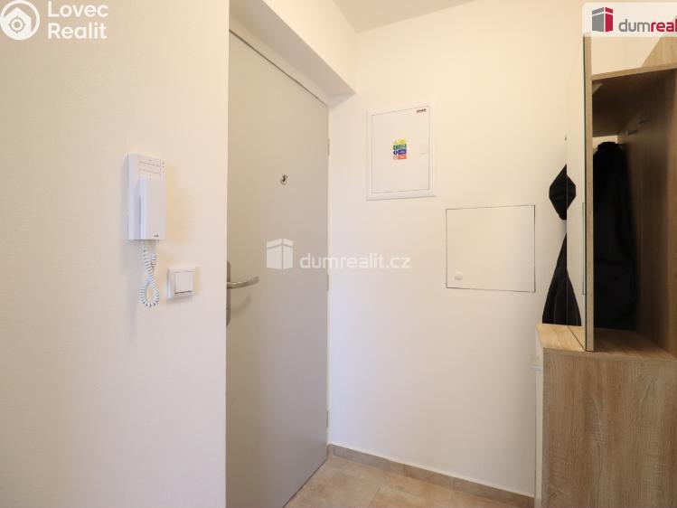 Pronájem bytu 2+KK Nová Role, Svobodova č. 7