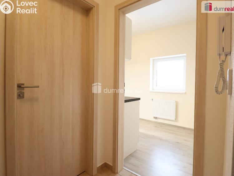 Pronájem bytu 2+KK Nová Role, Svobodova č. 8