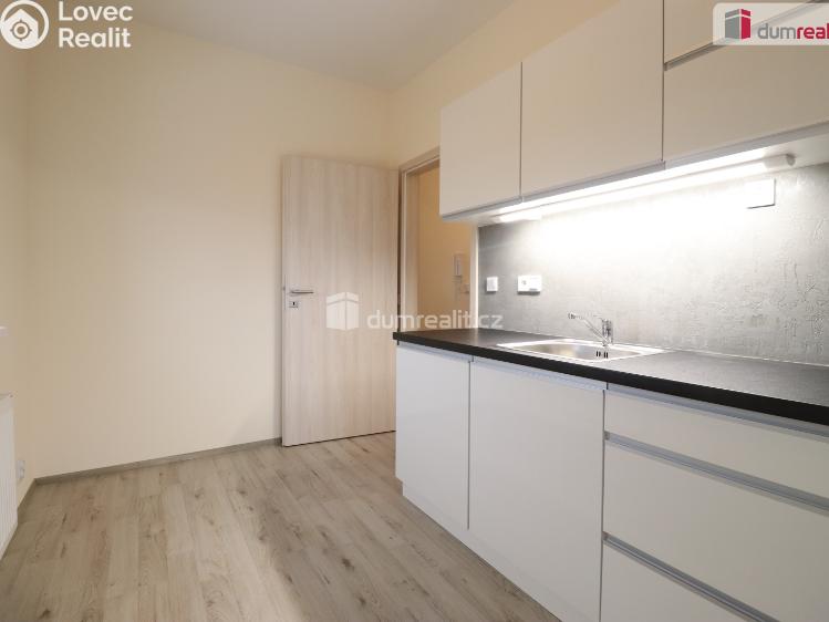 Pronájem bytu 2+KK Nová Role, Svobodova č. 11